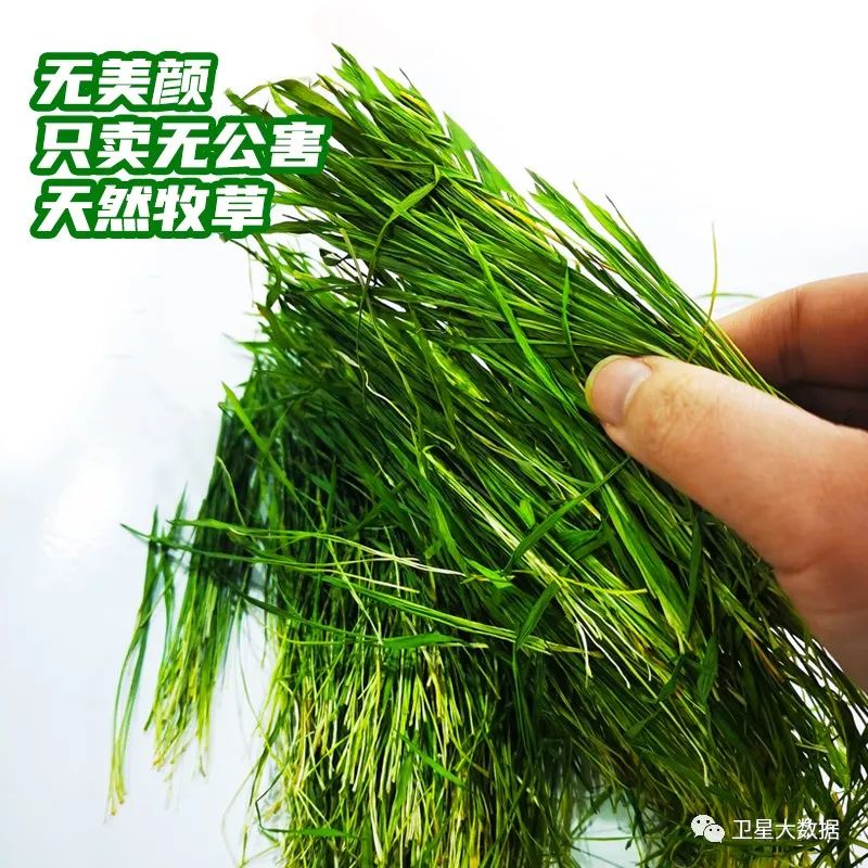 1687368529187052.jpg 8.jpg