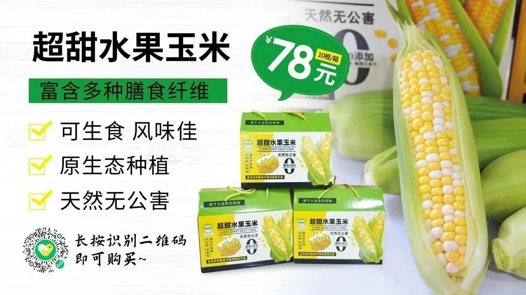 1.jpg ͼƬҪº¦´Ê