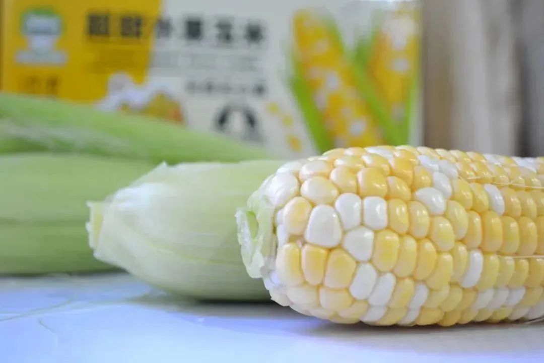 DSC_0403.JPG ͼƬҪº¦´Ê