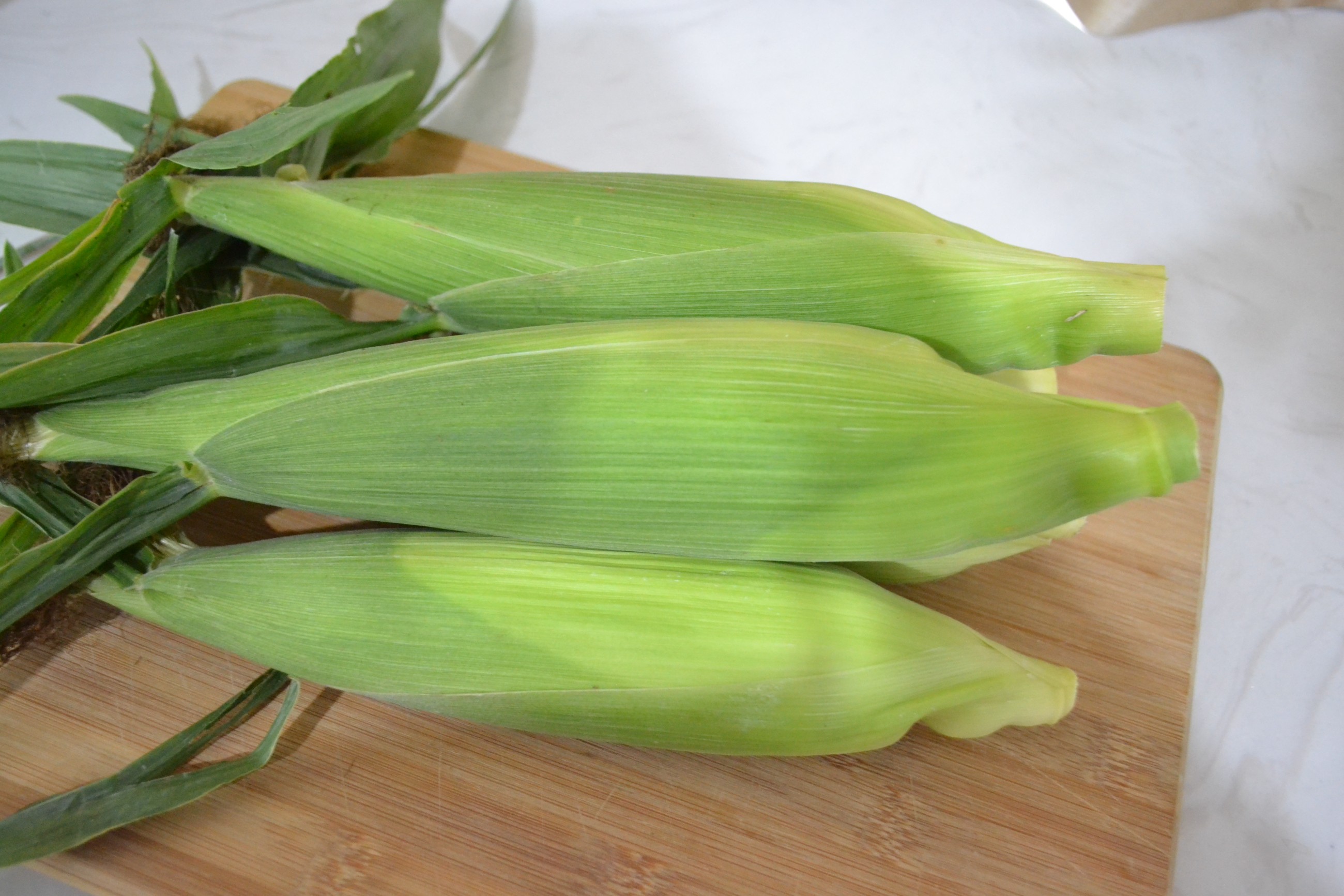 DSC_0357.JPG ͼƬҪº¦´Ê