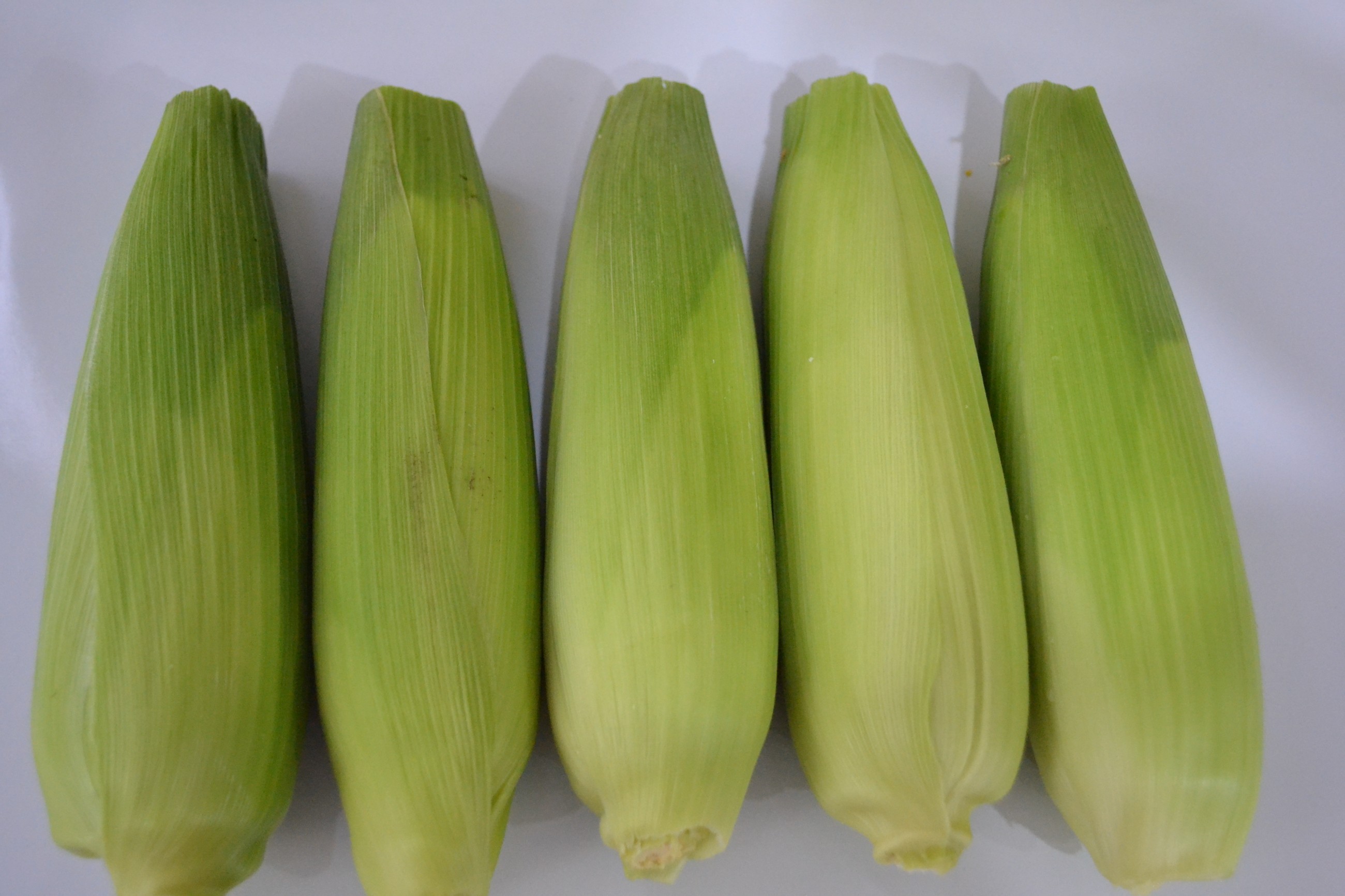 DSC_0348.JPG ͼƬҪº¦´Ê