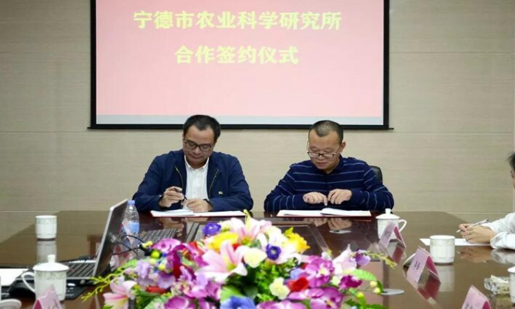 k8����(�й�)����Ӯ�ҡ�һ������