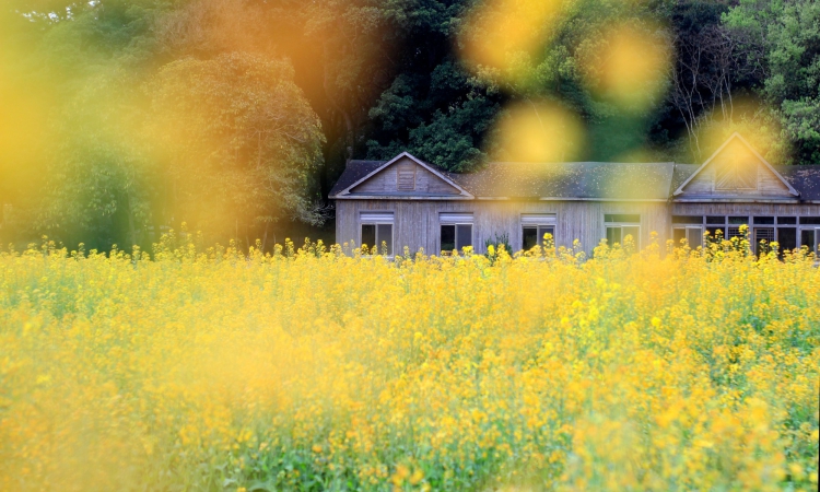 k8����(�й�)����Ӯ�ҡ�һ������