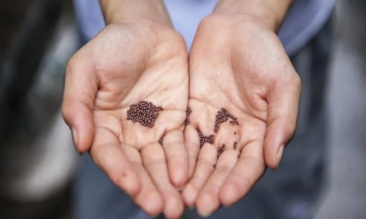 k8����(�й�)����Ӯ�ҡ�һ������