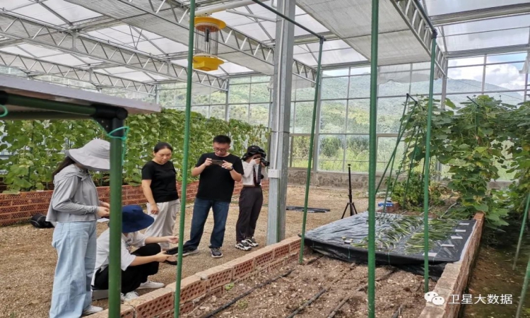 k8����(�й�)����Ӯ�ҡ�һ������