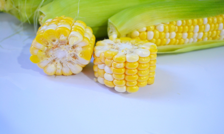 k8����(�й�)����Ӯ�ҡ�һ������